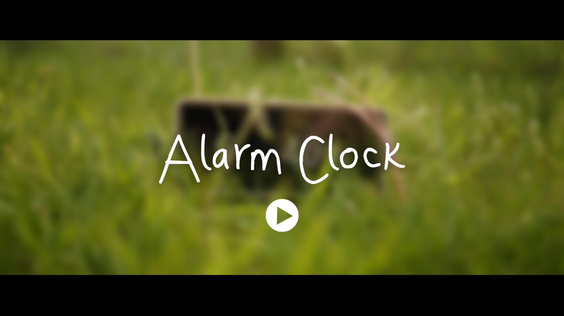 Alarm Clock